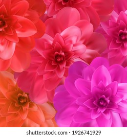 Colorful naturalistic blossoming pink, orange, red camellia flower on pattern background. Vector Illustration. EPS10