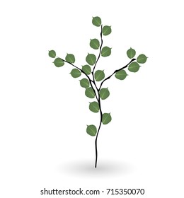Colorful naturalistic green leaves on branch. Vector Illustration. EPS10