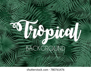 Colorful naturalistic tropical background from the leaf of Libistones (Palm). Vector Illustration. EPS10