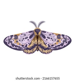 Colorful Night Moth. Cartoon Vector Graphics.
