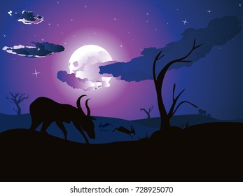 Colorful night scene, african landscape with silhouette of trees and antelopes.