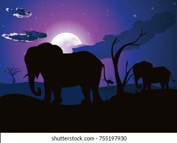 Colorful night scene, african landscape with silhouette of trees and elephant.