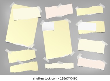 Nota colorida, papel de cuaderno con bordes rotos pegados sobre fondo gris. Ilustración vectorial.