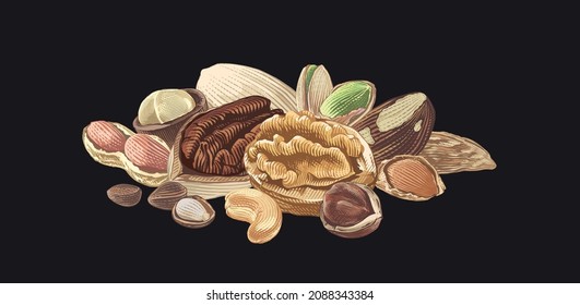 colorful nut heap set collection Hand drawing sketch engraving illustration style