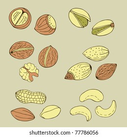 colorful nuts collection