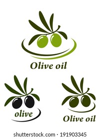 colorful olive set on white background with decorative line