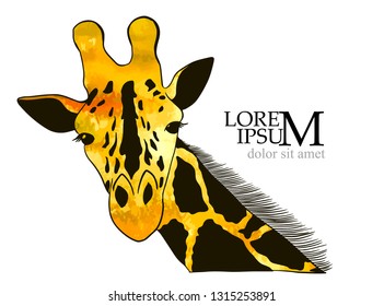 Colorful Orange giraffe. Vector