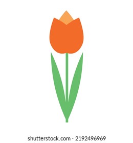 Colorful orange tulip flower isolated on white background vector illustration. Spring garden flowers. Greetings card. Summer print design element. Floral shop logo. Flat style. Elegant pastel colors.