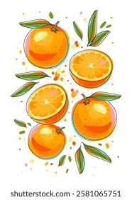 Colorful oranges with leaves and drops isolated on white background. Bright poster with whole and halves of fruits. Art print for cards, walls, banners, packaging, covers, etc. Vector