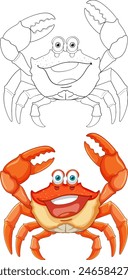 Colorful and outlined crab vector illustration