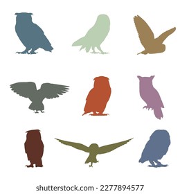 Colorful Owl Collection. Wild forest birds Set Of 9