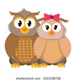 colorful owl couple cute animal together