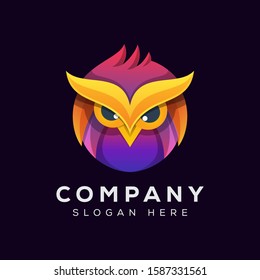 colorful owl logo illustration, cute owl logo, mini owl logo