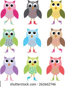 colorful owls with shoes background