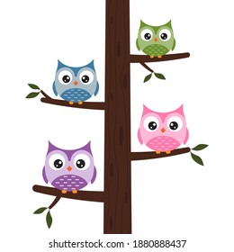 colorful owls at the tree