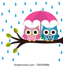 colorful owls with umbrella under the rain