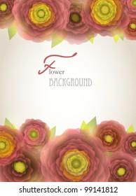 Colorful pale vintage red-pink-yellow buttercup flowers background.