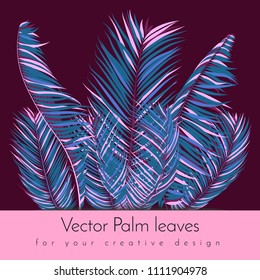 Colorful Palm Branches in Various Forms. Tropic Foliage in Bright Pink and Blue Colors. Illustration of Jungle Plants. Vector Palm Leaves. Floral Elements Set. Detailed Palm Leaves for Your Design