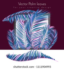 Colorful Palm Branches in Various Forms. Tropic Foliage in Bright Pink and Blue Colors. Illustration of Jungle Plants. Vector Palm Leaves. Floral Elements Set. Detailed Palm Leaves for Your Design