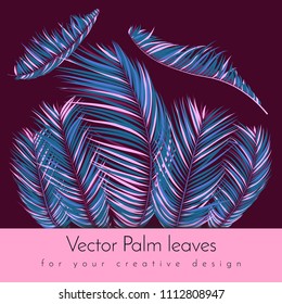 Colorful Palm Branches in Various Forms. Tropic Foliage in Bright Pink and Blue Colors. Illustration of Jungle Plants. Vector Palm Leaves. Floral Elements Set. Detailed Palm Leaves for Your Design