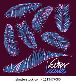 Colorful Palm Branches in Various Forms. Tropic Foliage in Bright Pink and Blue Colors. Illustration of Jungle Plants. Vector Palm Leaves. Floral Elements Set. Detailed Palm Leaves for Your Design