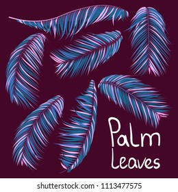 Colorful Palm Branches in Various Forms. Tropic Foliage in Bright Pink and Blue Colors. Illustration of Jungle Plants. Vector Palm Leaves. Floral Elements Set. Detailed Palm Leaves for Your Design