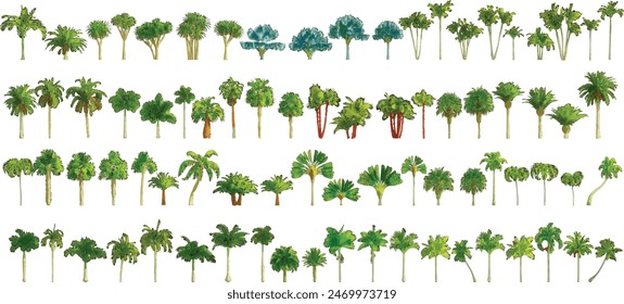 Colorful Palm Tree Set on White Background - Vector EPS