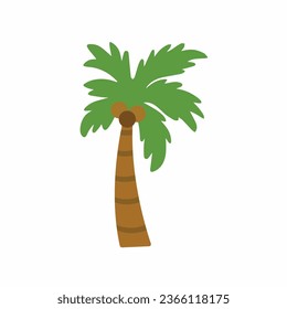 Colorful palm tree vector flat illustration, Collection of cartoon tropical plants with green leaves top and trunks isolated on white, fresh natural coconut wood cultivated gardening