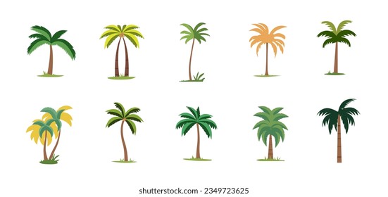 Colorful palm trees set, cartoon flat illustration vector