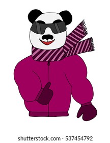 Colorful panda is sun glasses in a winter jacket and scarf. Art element for adult coloring book page design.