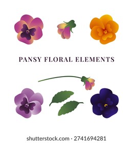 Colorful pansy flower elements for spring decoration, event invitation, floral design concept, birthday card.	