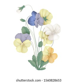 Colorful pansy flowers with leaves
