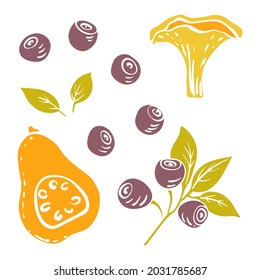 Colorful paper cut autumn fruits and leaves collection isolated on white background. Doodle hand drawn icons. Vector illustration.