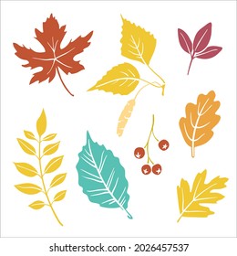 Colorful paper cut autumn leaves and berries collection isolated on white background. Doodle hand drawn icons. Vector illustration.