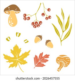 Colorful paper cut autumn leaves, mushrooms, acorns and berries collection isolated on white background. Doodle hand drawn icons. Vector illustration.