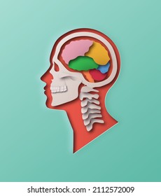 El papel colorido cortó la ilustración de la cabeza del hombre en un fondo aislado. Perfil de visión lateral de rayos X del cerebro humano con capa de papel 3D para el modelo de anatomía educativa, ciencia o concepto del sistema nervioso. 