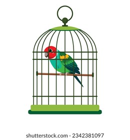 Colorful parrot bird in cage, vector illustration