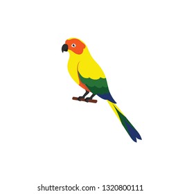 colorful parrot cartoon vector on a white background