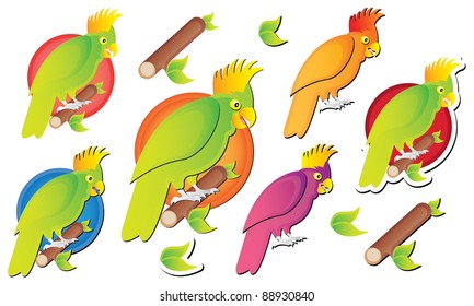 colorful parrot collection