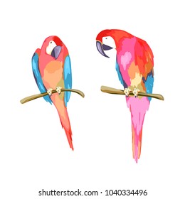 Colorful parrot couple. Isolated illustration. Watercolor style