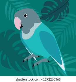 Colorful parrot and exotic leaves. Beautiful vector floral illustration background with parrot exotic bird, hibiscus, palm leaf. Vector illustration