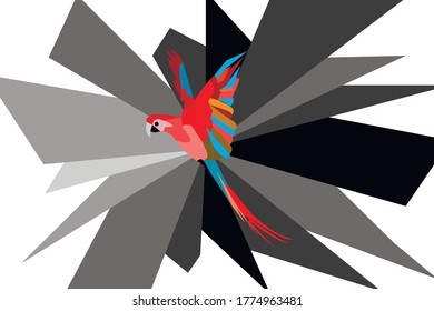 Colorful parrot in flight, design.