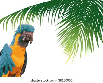 Colorful parrot in the forest with palms