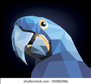 colorful parrot head visual identity in low polygon style on dark background, vector illustration