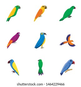 Colorful parrot icon set. Cartoon set of 9 colorful parrot vector icons for web design isolated on white background