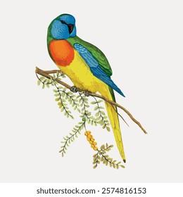 Colorful parrot illustration with vibrant feathers. Parrot perched on a branch. Bright parrot with green, blue, and orange plumage. Parrot art.