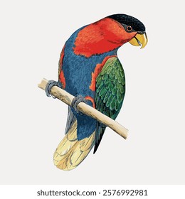 Colorful parrot illustration with vibrant feathers. Parrot perched on a branch. Bright parrot with red, blue, and green feathers. Detailed parrot artwork. Vintage illustration isolated, vector.