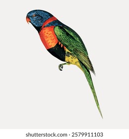 Colorful parrot illustration with vibrant feathers. The parrot features green, blue, and red hues. Detailed parrot art showcasing its vivid plumage. Vintage bird illustration vector.