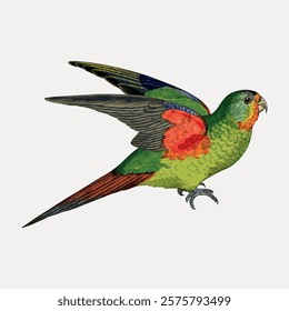 Colorful parrot illustration with vibrant green, red, and blue feathers. The parrot is in flight, showcasing its detailed wings and bright plumage.