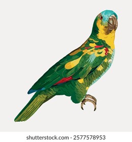 Colorful parrot illustration with vibrant green, yellow, and blue feathers. Parrot perched gracefully. Detailed parrot art showcasing vivid parrot colors. Vintage animal illustration isolated, vector.